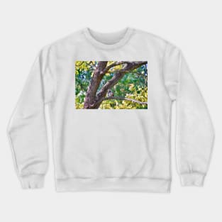 Snacking Crewneck Sweatshirt